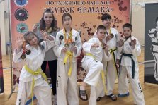 выкса.рф, Тхэквондисты взяли восемь наград на «Кубке Ермака» в Тюмени